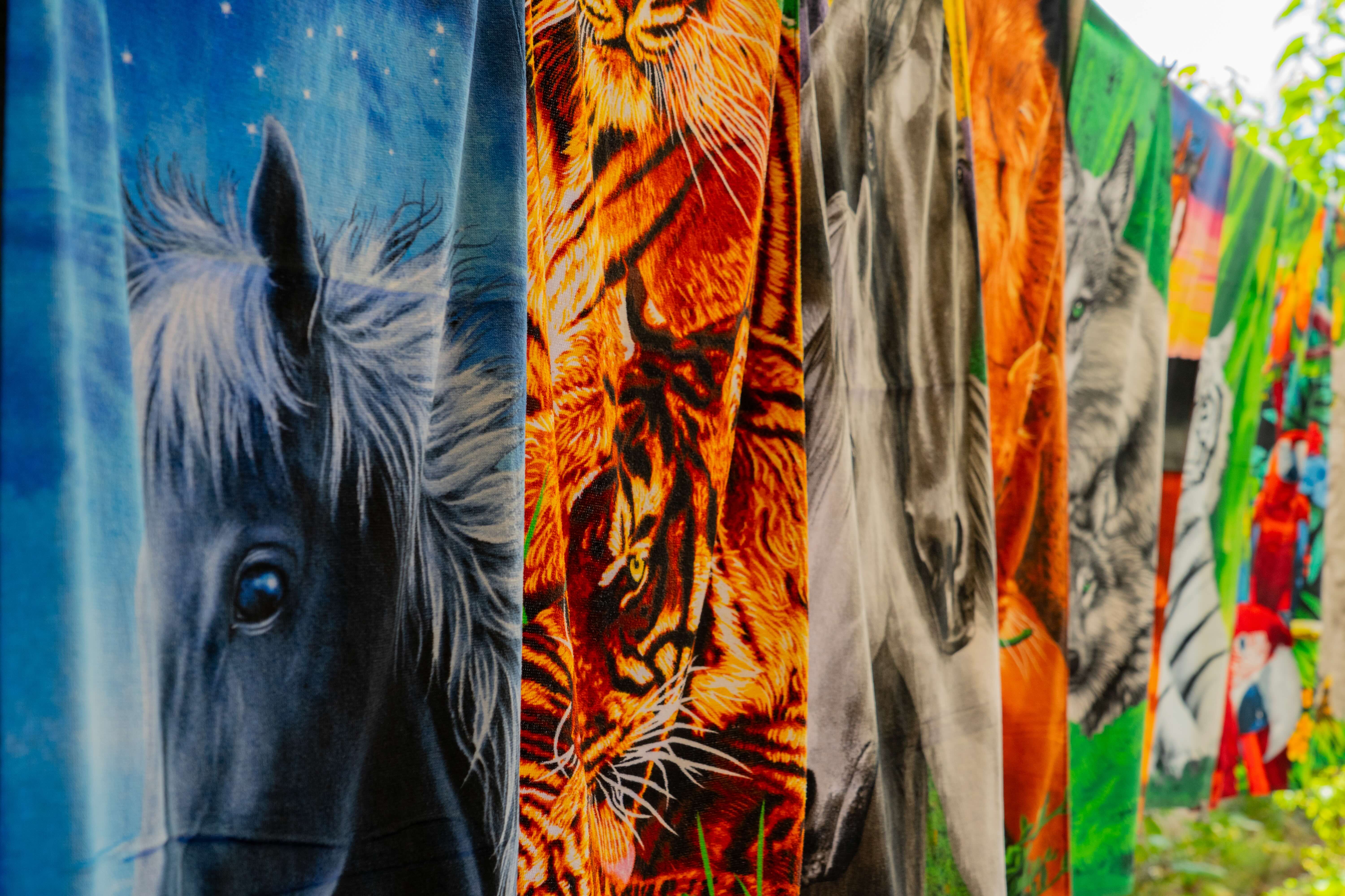 Bazar Y Paqueteria Maritza