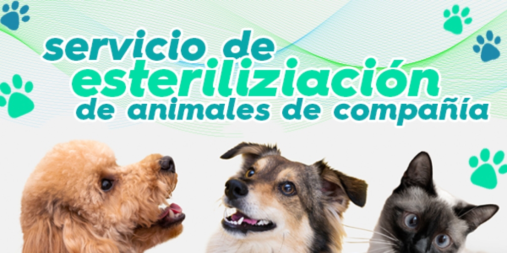  Servicio de esterilización de animales de compañia.