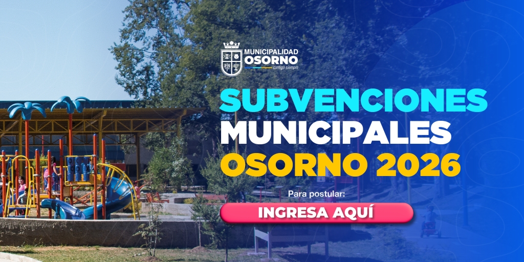  subvenciones municipales